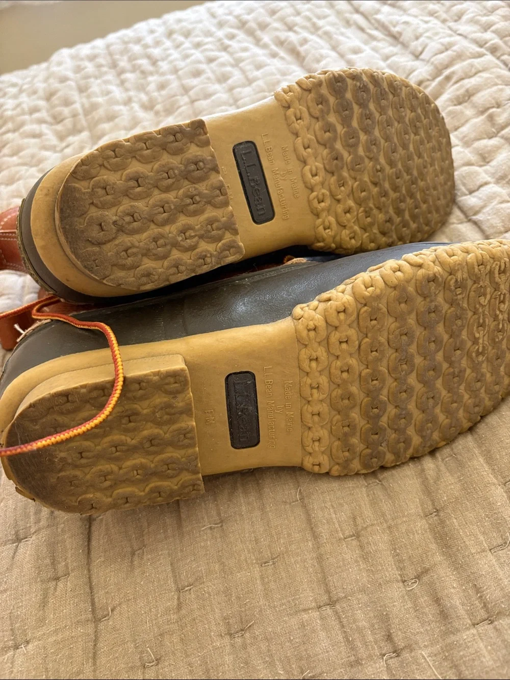 L.L. Bean authentic bean